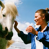 Le foto di Liisa Helmi