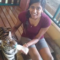 vallee nadarajasuntharam的照片