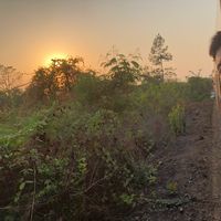 Bernard Tan的照片