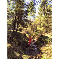 Ines Melissa的照片