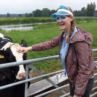 Fotos de Anne Gotink