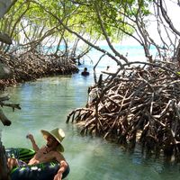 Jonathan Feliciano的照片