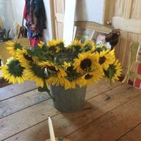 Martina Kacurova的照片