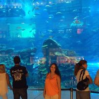 Ekaterina Shchegolieva's Photo