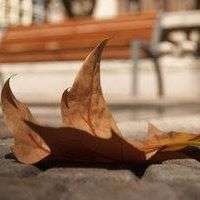 Phuonghan Nguyen's Photo