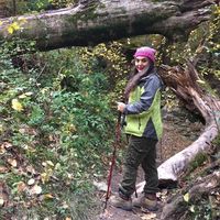 parvaneh ansari's Photo