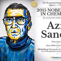 Ali Kiracı的照片