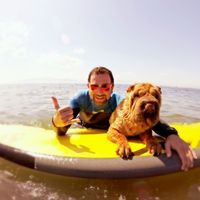 Loren Otero的照片