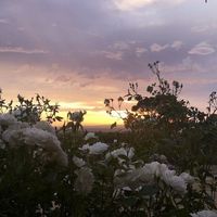 Фотографии пользователя M D