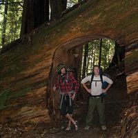 Patrick Dingle的照片