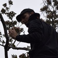 Sebastien Albert's Photo