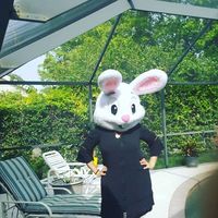 Michelle Conlan's Photo