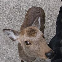 Фотографии пользователя Ellen Bainer