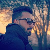 Reza Macvandi的照片