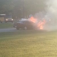 Jeremy Willis的照片