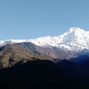 Annapurna Base Camp 's picture