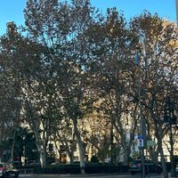 Waleria Szadryna's Photo