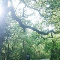 DucAnh Nguyen's Photo