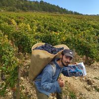 Fotos de Farkas Bogdán