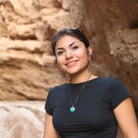 Minoo Mehrafrooz's Photo