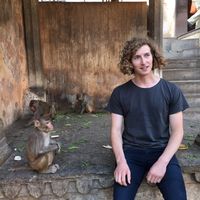 Jonathan Kingsley的照片