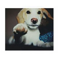 Edgar Represas Herrero's Photo