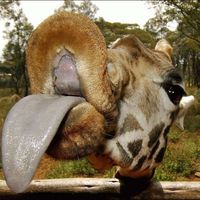 Le foto di Billy Zheng