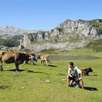 Pete Redondo的照片