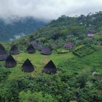 guztavo east's Photo