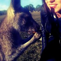 Jennifer Maria的照片