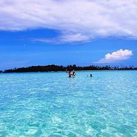 Indra Nasution's Photo