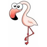 Le foto di Benoit Pecetto