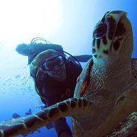 Brooks Nickel的照片