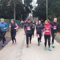 Fotos de Vinay Goyal