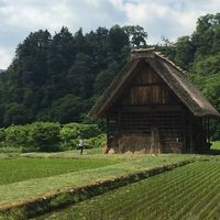 Makoto Fujioka的照片