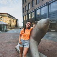 Фотографии пользователя Anastasiia Gromova