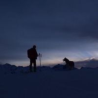 Thomas Faussurier的照片