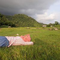 Hanna Syahidah的照片