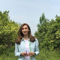 forouz Kordi's Photo