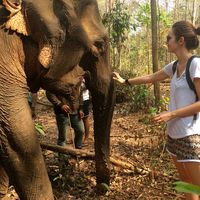 Alizée Grosselin的照片