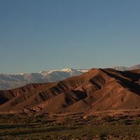 Juliana Herrero's Photo