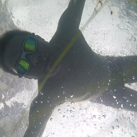 Krishanu Koyal的照片