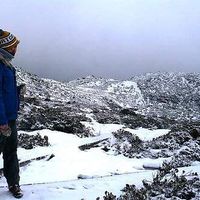 Michael Eastman的照片