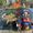 Alex G.'s Photo