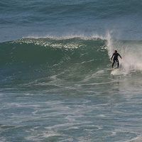 joao Baptista's Photo