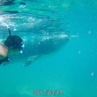 Фотографии пользователя Adlin  Aurin