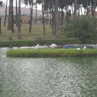 Fanery Caicedo的照片