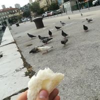 Lukas Traveler的照片