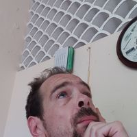 Paul Shelton的照片