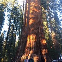 Taylor Hitt的照片